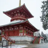 【千葉観光】1月はここをチェック！ 