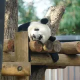 東京でおすすめの動物園11選