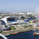 【名古屋港水族館の楽しみ方完全ガイド】観光やデートにおすすめの情報や周辺情報も満載！
