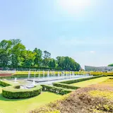 【神代植物公園の楽しみ方完全ガイド】深大寺のすぐ近く！バラが見事な植物公園の見どころ徹底ガイド