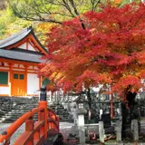 雄大な自然と人々の営みが調和する「日本遺産吉野」を巡る旅