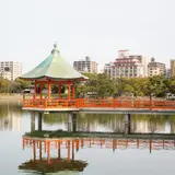 【大濠公園楽しみ方完全ガイド】のどかな水辺をおさんぽして憩いのひとときを過ごそう