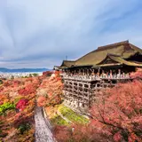 【京都の見どころ徹底解説】定番の京都グルメや観光エリアの情報が満載！