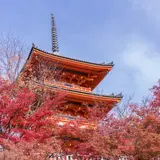 秋の京都を楽しむ！秋のおでかけおすすめプランを紹介