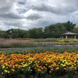 【海の中道海浜公園楽しみ方ガイド】お花畑から動物園まで大集合！広大な国営公園をとことん楽しもう