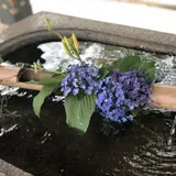 【雨の日も満喫】雨の日だからこそ楽しめる！祇園・東山の歩き方ガイド