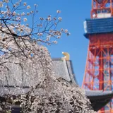 東京旅行ガイド！人気エリアや見どころ・アクセス情報が満載！