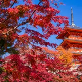 ここでしかできない体験を！京都でできる10のこと