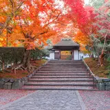 【秋の京都観光】下鴨神社・銀閣寺・京都御苑のおすすめ紅葉＆グルメスポットまとめ