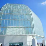 【葛西臨海水族園の楽しみ方完全ガイド】観光やデートにおすすめの情報や周辺情報も満載！