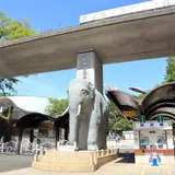【多摩動物公園の楽しみ方完全ガイド】子ども連れの方におすすめの動物やスポット情報満載！