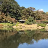 【新宿御苑の楽しみ方完全ガイド】四季折々の自然が楽しめる人気観光スポット