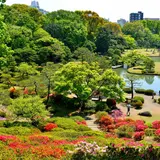 【六義園の楽しみ方完全ガイド】都会で桜や紅葉を贅沢に味わえる！周辺情報も満載