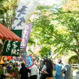 【深大寺の観光ガイド】パワースポットや食べ歩き、周辺ランチのおすすめ情報が満載！