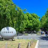 【上野公園の楽しみ方完全ガイド】芸術から自然まで上野公園の魅力を一挙紹介
