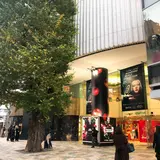 【ラフォーレ原宿の楽しみ方完全ガイド】年2回の大セールは必見！トレンドが集まる発信地