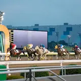 【大井競馬場の楽しみ方完全ガイド】競馬場グルメや季節イベントを楽しめる大人の遊び場！