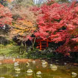 【小石川後楽園の楽しみ方完全ガイド】歴史ある都立庭園で四季折々の草花を楽しむ！