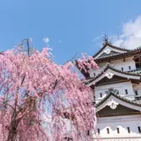【青森県のおでかけ・観光マップ】地図から名所や周辺おすすめ情報を探そう！