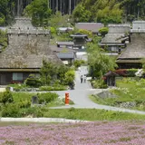 【京都府南丹市美山町の見どころ観光ガイド保存版】京都の美しい里山風景と自然を味わおう!