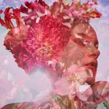 ニコン主催の写真展開催！3人の写真家・山形豪・中井菜央・百々新の作品を展示