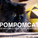 戌年だけどやっぱりネコが好き!「ネコのいる暮らし展 ～CAT LIFESTYLE～VOL.4」青山で開催