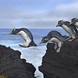 世界最大規模！『世界報道写真展2018』写真で訴えかける世界の“いま”とは