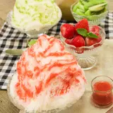 山梨南アルプス八ヶ岳の天然氷を使ったフワッフワのかき氷！二子玉川ライズに期間限定で出店