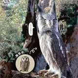 「化ける」生き物たちがテーマの『化ケモノ（ばけもの）展』サンシャイン水族館で開催！