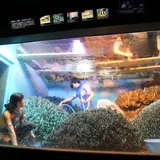 貴重な光景を大公開！水槽の水を全部抜いて大掃除『水槽ピカピカ大作戦！』サンシャイン水族館で開催