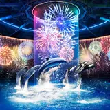 イルカパフォーマンス・音楽・デジタルアートで描く特別な夏「花火アクアリウム BY  NAKED」開催