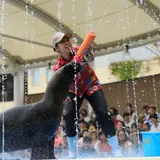 アシカ達から水鉄砲でびちょびちょにされる！？夏限定イベント「サンシャイン水族館の夏休み」開催