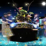 見る・知る・感じる！新感覚体験を通して楽しむ「WOW！金魚あそび」7月7日よりスタート