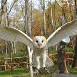 動物たちと触れ合える「ウーピー園長のあにまるふれんZOO！」が那須ハイランドパークで開催