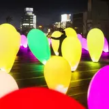 夜の植物園が大変身！『チームラボ 宇部市ときわ公園2018世界を旅する植物と、花と共に生きる動物たち』開催