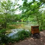 涼を感じるコンサートなど夏休みを涼しく過ごすイベントを「六甲オルゴールミュージアム」で開催