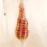 小さな命の力強さを表現した展覧会『はじまりの場所：浅山 美由紀』が開催