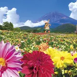 「2018天空のダリア祭り」開幕！花の祭典×富士山の競演でフォトジェニックな撮影が楽しめる