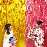 西日本初！参加型フォトジェニックアート館 「PAPEPO MUSEUM」オープン