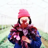 青山ファーマーズマーケット初主催で多種多様な植物が集まる「Flower&GreenMarket」開催