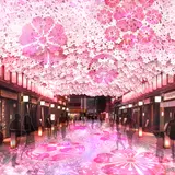 アートに桜を楽しむ『日本橋 桜フェスティバル～新たに出会う、日本橋、八重洲、京橋～』開催！