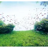 この夏公開の映画「未来のミライ」とコラボした企画展をすみだ水族館で開催