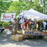 「金沢文庫芸術祭」×「チャイハネ」1日限りのコラボイベント開催