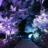 3Dマッピングとライトアップで幻想的な世界へ！「夜の海地獄2018」開催