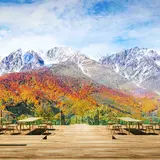 山頂の絶景テラス「HAKUBA MOUNTAIN HARBOR」で白馬素材のパンを味わおう