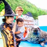 伊勢シーパラダイスで海の生き物たちとハロウィンを楽しもう！「ふれあいモンスター達のハロウィンカーニバル」開催