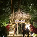 51作品が上映！オールナイトの野外映画フェス「夜空と交差する森の映画祭」が開催
