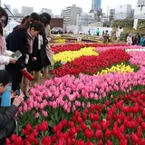 【全日本フラワーガーデンコンテスト】大阪うめきたガーデンで2月3日(土)から展示開始！