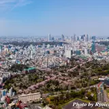 六本木で絶景を見ながらアートと食を楽しもう！春イベント続々登場！