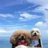 写真展開催！『いのちつないだワンニャン写真動画コンテスト2018』心に響く入選作品が並ぶ